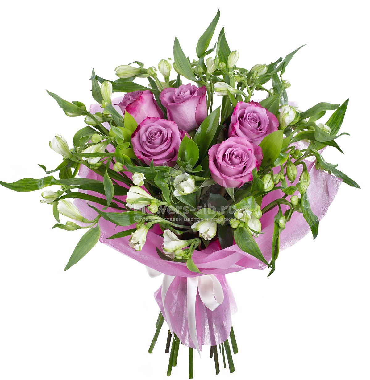 Вечерние Грезы